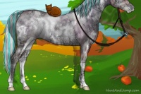 Horse Color:Painted Watercolor White Spotted Silver Buckskin Ice Pearl Onyx Sabino 