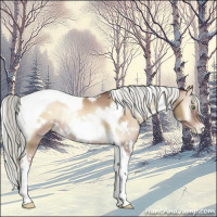 Horse Color:White Spotted Liver Red Onyx Pearl Mushroom Tobiano Rabicano 