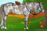 Horse Color:White Spotted Liver Red Dun Ice Splash 