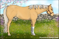 Horse Color:Palomino