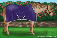 Horse Color:Red Roan 