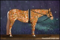 Horse Color:White Spotted Chestnut Sabino 