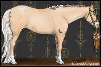 Horse Color:Silver Buckskin Pearl 