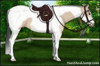 Horse Color:Bay Dun Tobiano Frame 