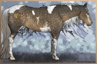 Horse Color:White Spotted Chocolate Palomino Mushroom Tobiano Rabicano 