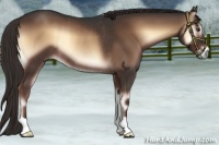 Horse Color:Liver Red Onyx Rabicano 