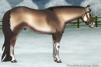 Horse Color:Liver Red Onyx Rabicano