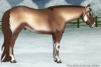 Horse Color:Red Onyx Rabicano 