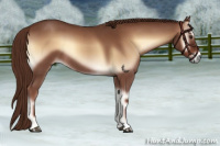 Horse Color:Red Onyx Roan 
