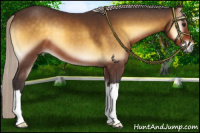 Horse Color:Silver Buckskin Onyx 