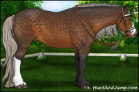 Horse Color:Silver Buckskin 