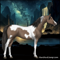 Horse Color:Liver Red Dun Splash Tobiano Frame Rabicano 