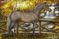 Horse Color:Chocolate Palomino Roan 