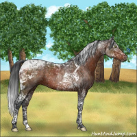 Horse Color:Brown Mushroom Tobiano 