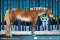 Horse Color:Chocolate Palomino Tobiano