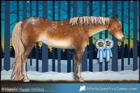 Horse Color:Chocolate Palomino Tobiano 