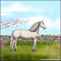 Horse Color:Cremello Dun 