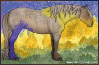 Horse Color:Chocolate Palomino Roan 