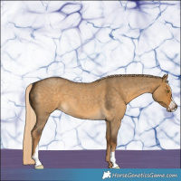 Horse Color:Chocolate Palomino Roan Dun Sabino 