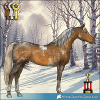 Horse Color:Chocolate Palomino Mushroom Tobiano 