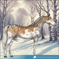 Horse Color:White Spotted Chocolate Palomino Mushroom Splash 