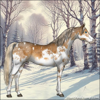 Horse Color:White Spotted Chocolate Palomino Mushroom Splash