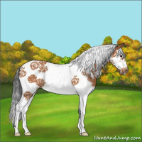 Horse Color:Bay Splash Tobiano Frame 