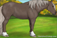 Horse Color:Silver Black 