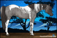 Horse Color:Smoky Blue Roan Tobiano 