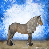 Horse Color:Chocolate Palomino Roan