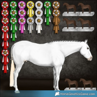 Horse Color:Buckskin Tobiano Appaloosa