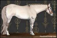Horse Color:Silver Brown Roan Onyx Rabicano 