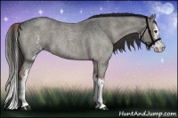 Horse Color:White Spotted Liver Red Dun Roan Splash 