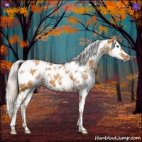 Horse Color:White Spotted Silver Buckskin Splash Tobiano 