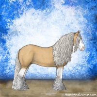 Horse Color:Silver Buckskin Roan Splash