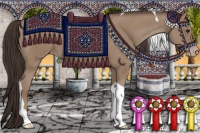 Horse Color:Classic Champagne Tobiano 