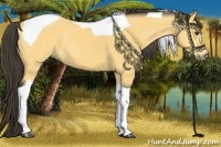 Horse Color:Buckskin Tobiano