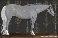 Horse Color:Silver Classic Champagne Chinchilla 