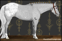 Horse Color:Silver Classic Champagne Chinchilla Dun Appaloosa Rabicano