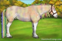 Horse Color:Painted Nacre White Spotted Chocolate Silver Buckskin Roan Splash 