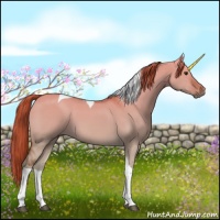 Horse Color:Red Dun Tobiano 