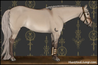 Horse Color:Silver Brown Dun Mushroom 