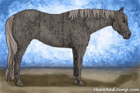 Horse Color:Black and Silver Black