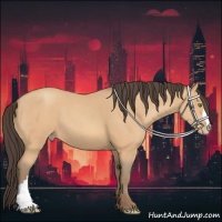 Horse Color:Amber Champagne 