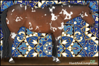 Horse Color:White Spotted Brown 