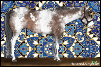 Horse Color:White Spotted Brown Rabicano 