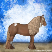 Horse Color:Chestnut Appaloosa