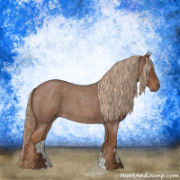 Horse Color:Red Roan