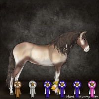 Horse Color:Blue Onyx Pearl Sabino Rabicano