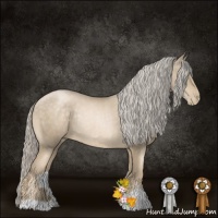 Horse Color:Chocolate Palomino Pearl Mushroom Rabicano
